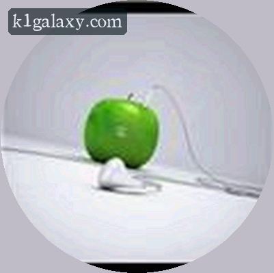 陈总